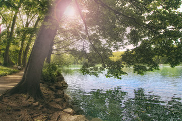 parc de la tete d'or 