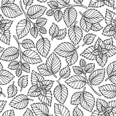 Vector seamless pattern  of mint leaves .