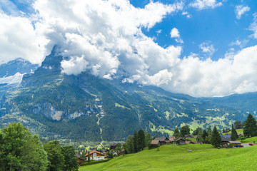 Naklejka premium Grindelwald