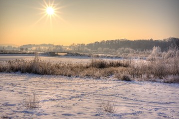Strahlende Sonne am Wintermorgen