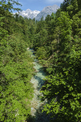 Obraz premium Kamniska bistrica river in Kamnik Savinja alps.