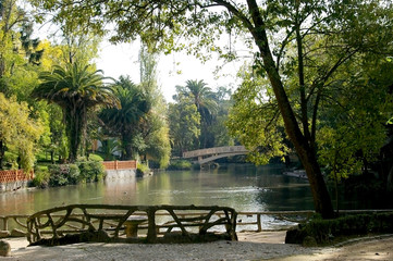 Árboles, palmeras y patos en el Parque Infante Don Pedro en Aveiro, Portugal