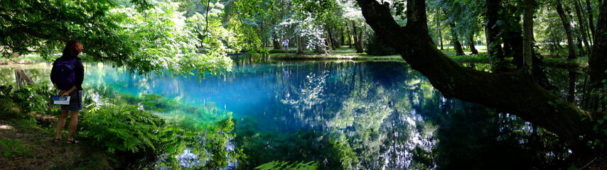 Fontaines bleues de St Dizant du Gua (17)