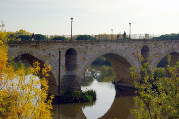 Fototapeta premium La ciudad de Zamora desde el puente de piedra sobre el río Duero