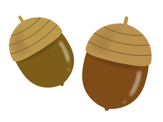 どんぐり © R-DESIGN