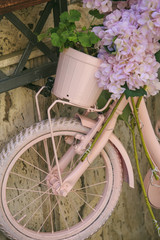 Fototapeta na wymiar vintage Pink bicycle with basket of flowers