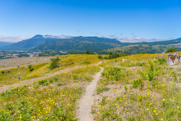 Naklejka premium The landscape of the volcano is distorted by lava. Hummocks Trail. Mount St Helens National Park, South Cascades in Washington State, USA
