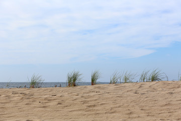 Sand dune landscape