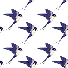 Keuken foto achterwand Vlinders Zwaluw, vogels. Kleurrijk naadloos patroon, achtergrond Stock lijn vectorillustratie