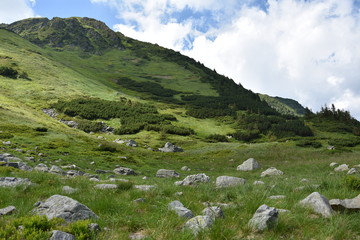 Fototapeta na wymiar Mountain gorges, summer green grass, blue sky. Mountain trails.