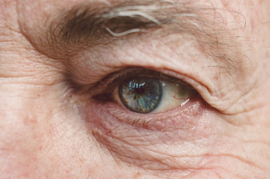Trees reflection on the iris of senior man eye