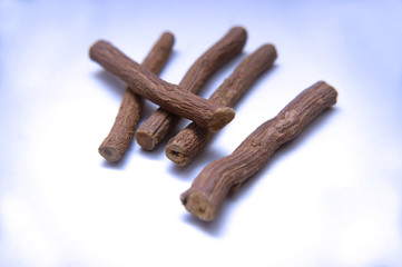 Raíz de rama tronco de regaliz comestible
