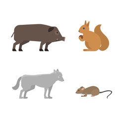 Different wild animals dangerous vertebrate canine characters large predator vector illustration.