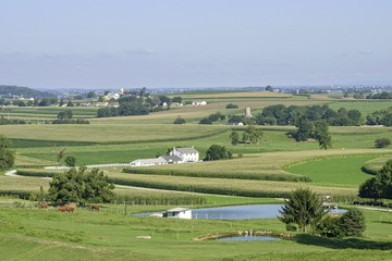 Obraz premium Farm with Horses