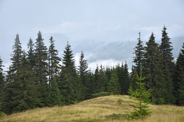 Mountains between white clouds, summer trips