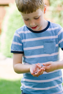 Child holding a worm in his hands in garden