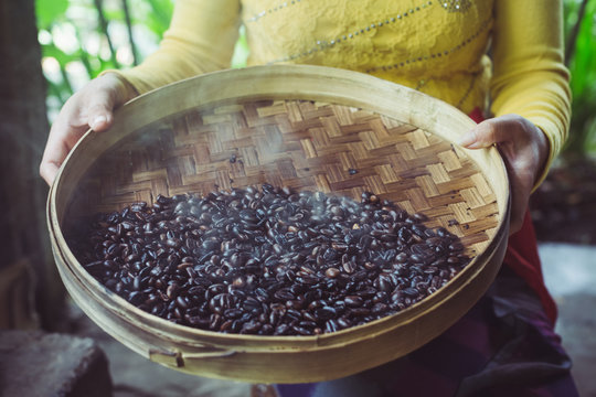 Woman working on roasting coffee beans