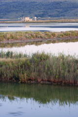 Secovlje salt plants, Slovenia.