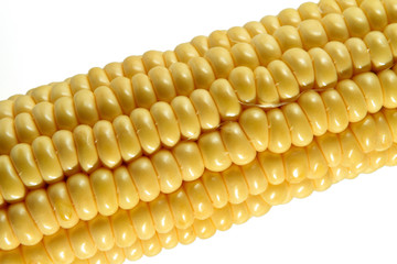orn cob