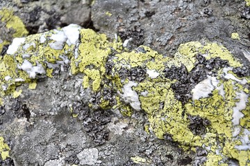 Stone with impregnation of marble