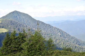 Mountain landscapes, blue sky, green grass, trees. The Existence of Summer