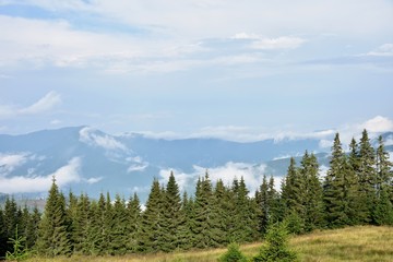 Fototapeta na wymiar Mountains between white clouds, summer trips