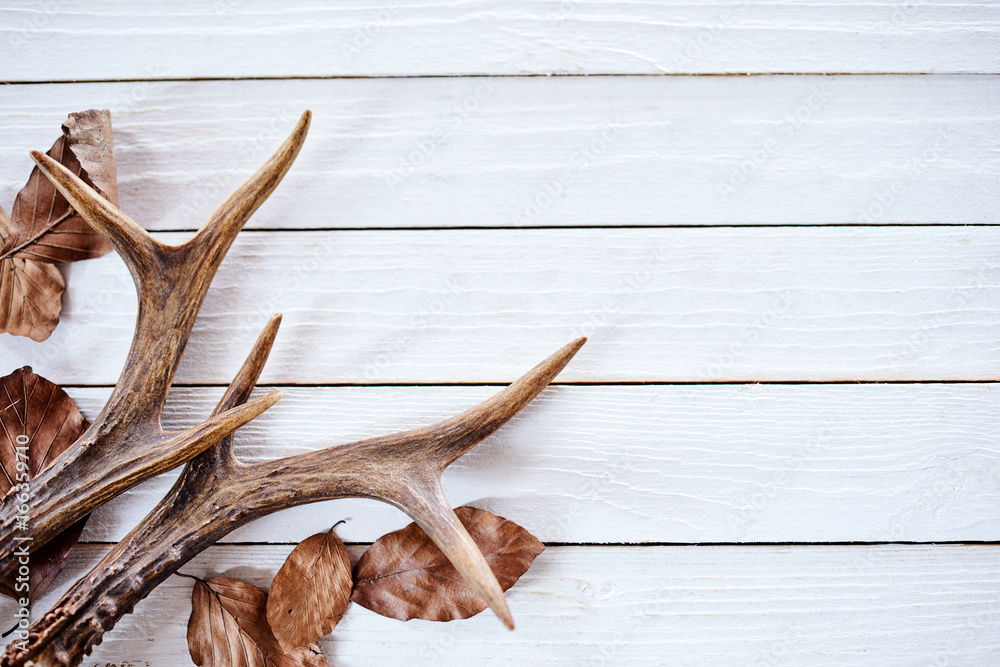 Wall mural seasonal winter antlers and leaves on wood
