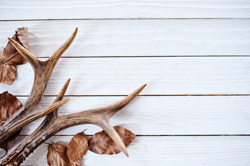 Seasonal winter antlers and leaves on wood