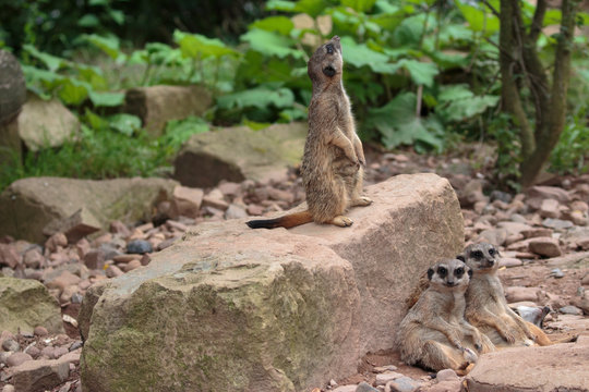 Wann kommt denn endlich der Schichtwechsel?