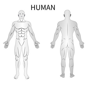 male human body front and black view