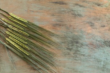 Spikelets wheat