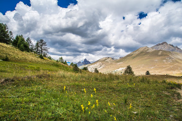 Tete de l'homme, Ubayette, France