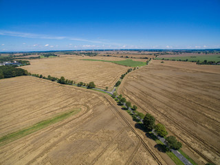 Fototapeta na wymiar aerial view of golden wheat field with blue sky in germany
