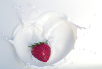 strawberry and cream isolated closeup red sweet fruit