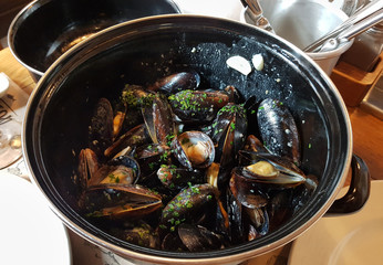 Mussels in creamy sauce with herbs and garlic