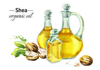 Hand drawn watercolor composition with bottles of Shea oil and nuts