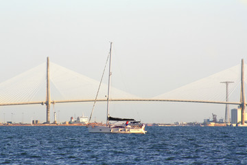 sailing boats on the background of the huge bridge