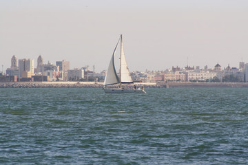 from the sea port sailing boats out for a walk