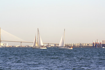 Fototapeta premium sailing boats on the background of the huge bridge