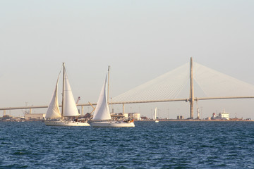 Naklejka premium sailing boats on the background of the huge bridge