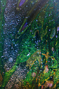 Human skin hair follicle section