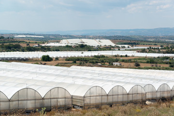 Sizilien Gewächshäuser in Campagna