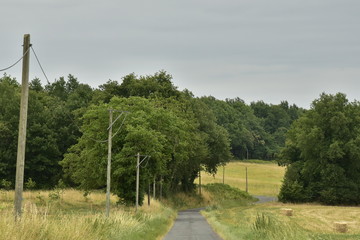 Route de campagne entre champs et bois sous un ciel bouché au Périgord Vert 