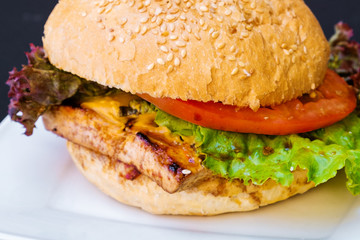 Vegetarian burger. The concept of healthy food. Hamburgers with tofu cheese and fresh vegetables