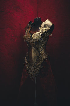 Corset Golden armor for women. Carries pieces of gold and fabrics and feathers in red color
