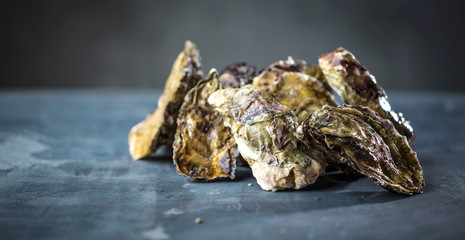 Frische austern