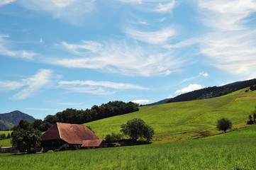 Obraz premium Schwarzwaldhof bei Oberried