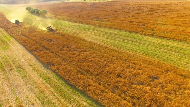 Aerial view of combine harvester. Harvest of rapeseed field. Industrial footage on agricultural theme. Biofuel production from above. Agriculture and environment in European Union. 
