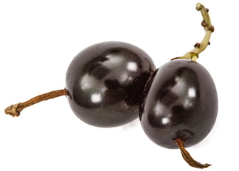 Currant black berries isolated on white background