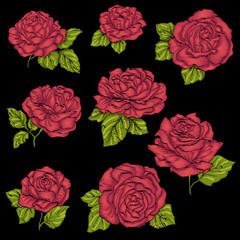 Set embroidery red rose with green leaves on black background. Stock line vector illustration. 